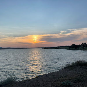 Meet your Posher, Dina